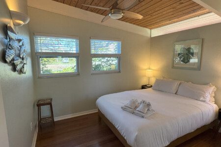 55404 146329 f5L3ymqX2KPDrS9ClY3p 4L7dp4kfigzyU4JTkoedho 67d2d65416ef2.jpg